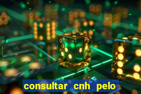 consultar cnh pelo cpf sp